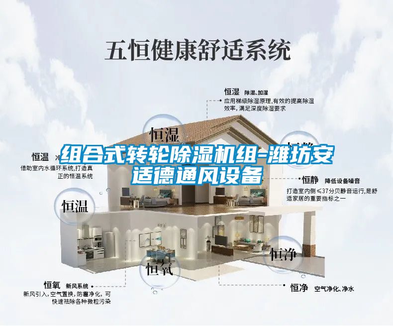 組合式轉(zhuǎn)輪除濕機組-濰坊安適德通風(fēng)設(shè)備