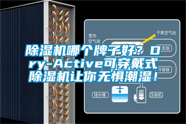除濕機哪個牌子好？Dry-Active可穿戴式除濕機讓你無懼潮濕！