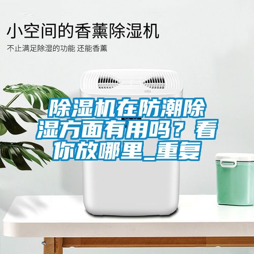 除濕機在防潮除濕方面有用嗎？看你放哪里_重復