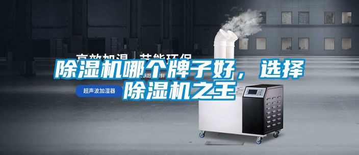 除濕機哪個牌子好，選擇除濕機之王