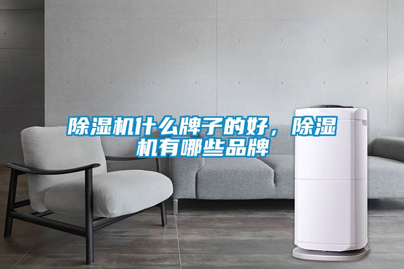 除濕機什么牌子的好，除濕機有哪些品牌