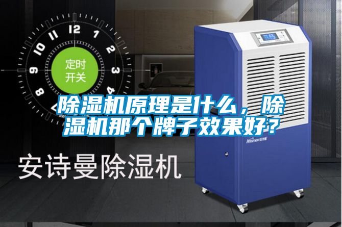 除濕機(jī)原理是什么，除濕機(jī)那個(gè)牌子效果好？