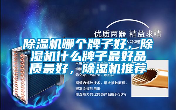 除濕機哪個牌子好，除濕機什么牌子最好品質最好，除濕機推薦