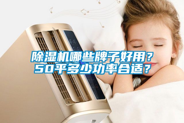 除濕機哪些牌子好用？50平多少功率合適？