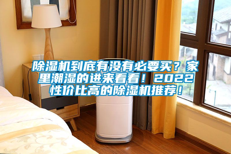 除濕機到底有沒有必要買？家里潮濕的進來看看！2022性價比高的除濕機推薦！