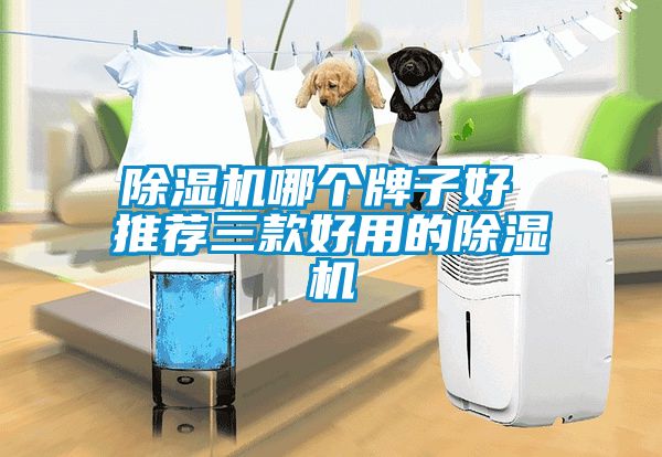 除濕機(jī)哪個牌子好 推薦三款好用的除濕機(jī)