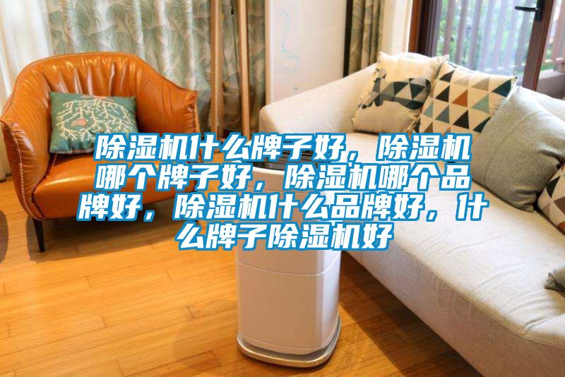 除濕機什么牌子好，除濕機哪個牌子好，除濕機哪個品牌好，除濕機什么品牌好，什么牌子除濕機好