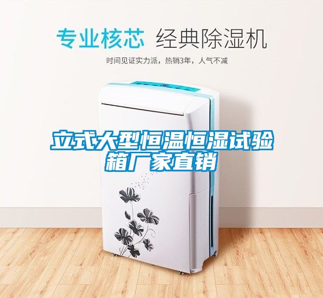 立式大型恒溫恒濕試驗(yàn)箱廠家直銷(xiāo)