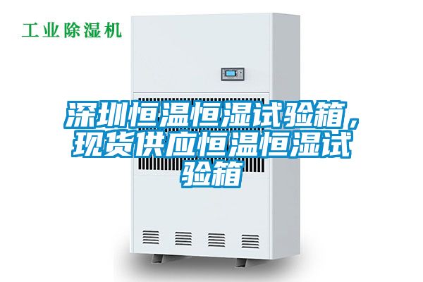 深圳恒溫恒濕試驗(yàn)箱，現(xiàn)貨供應(yīng)恒溫恒濕試驗(yàn)箱