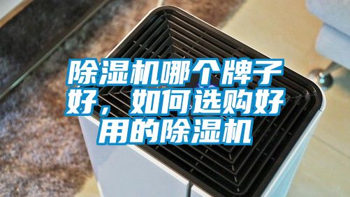 除濕機哪個牌子好，如何選購好用的除濕機