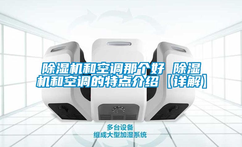 除濕機(jī)和空調(diào)那個好 除濕機(jī)和空調(diào)的特點(diǎn)介紹【詳解】
