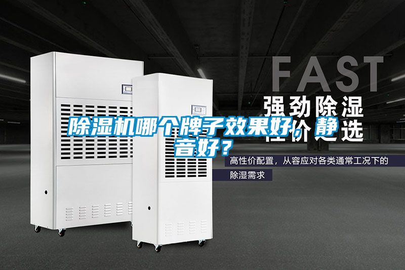 除濕機哪個牌子效果好，靜音好？