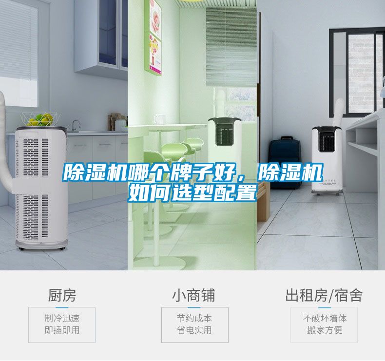 除濕機哪個牌子好，除濕機如何選型配置