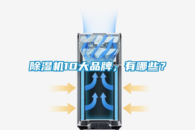 除濕機10大品牌，有哪些？