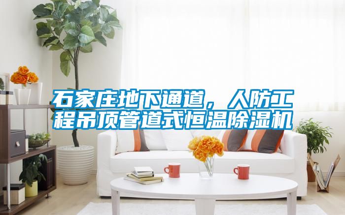 石家莊地下通道，人防工程吊頂管道式恒溫除濕機