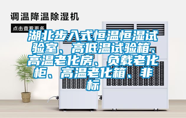 湖北步入式恒溫恒濕試驗室、高低溫試驗箱、高溫老化房、負載老化柜、高溫老化箱、非標