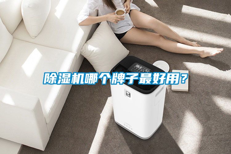 除濕機哪個牌子最好用？