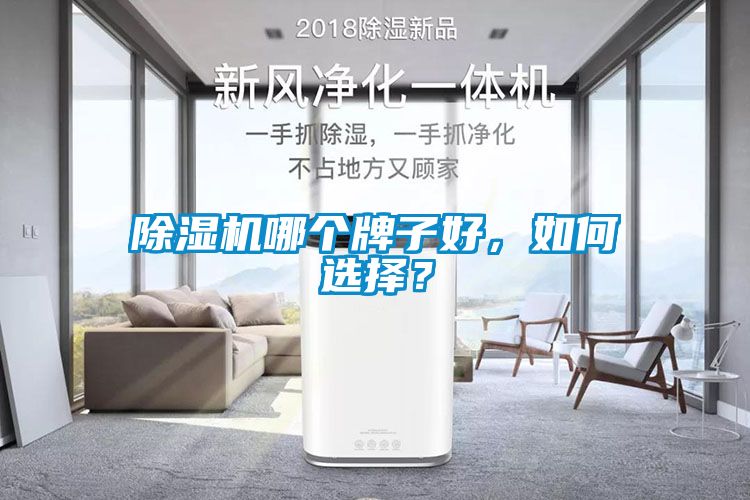 除濕機哪個牌子好，如何選擇？