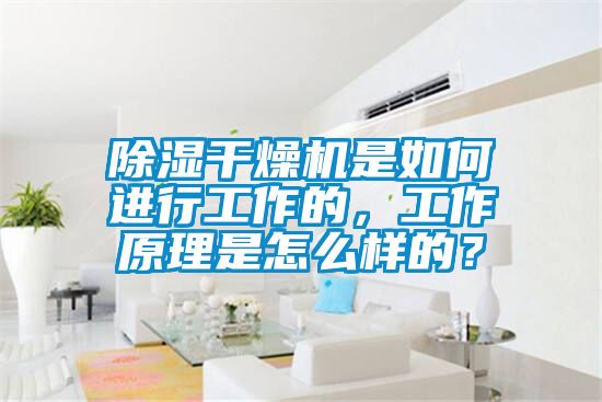 除濕干燥機是如何進行工作的，工作原理是怎么樣的？