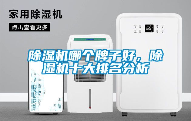 除濕機哪個牌子好，除濕機十大排名分析
