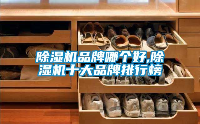 除濕機(jī)品牌哪個(gè)好,除濕機(jī)十大品牌排行榜
