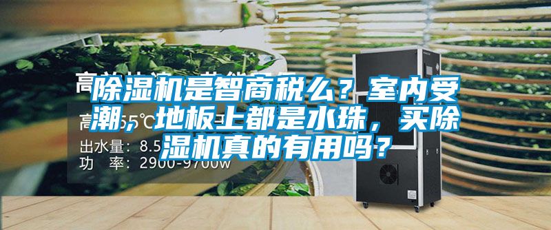 除濕機是智商稅么？室內受潮，地板上都是水珠，買除濕機真的有用嗎？