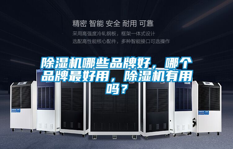 除濕機哪些品牌好，哪個品牌最好用，除濕機有用嗎？