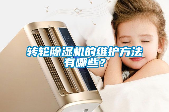 轉(zhuǎn)輪除濕機的維護方法有哪些？