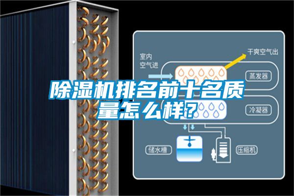 除濕機排名前十名質量怎么樣？