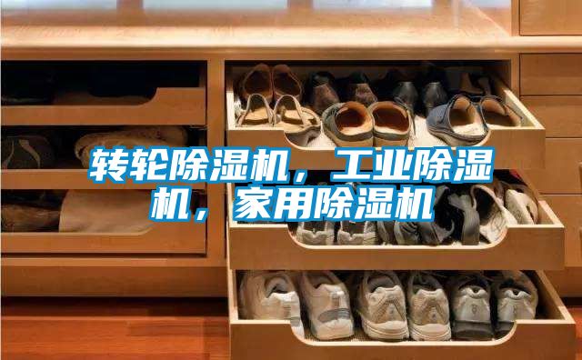 轉(zhuǎn)輪除濕機，工業(yè)除濕機，家用除濕機