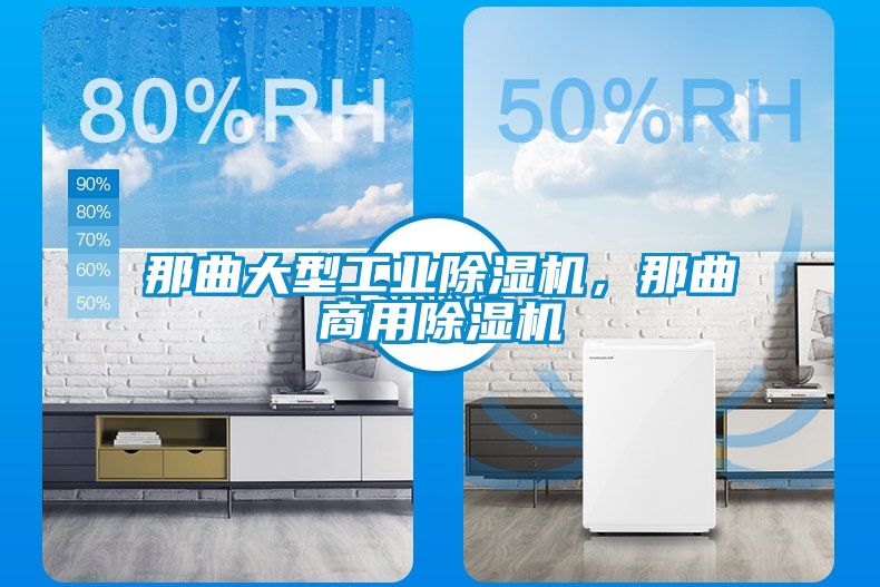那曲大型工業除濕機，那曲商用除濕機