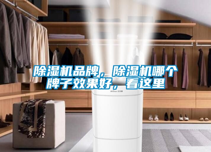 除濕機(jī)品牌，除濕機(jī)哪個(gè)牌子效果好，看這里