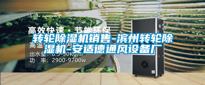 轉(zhuǎn)輪除濕機銷售-濱州轉(zhuǎn)輪除濕機-安適德通風(fēng)設(shè)備廠