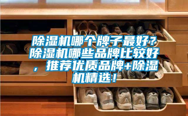 除濕機哪個牌子最好？除濕機哪些品牌比較好，推薦優質品牌+除濕機精選！