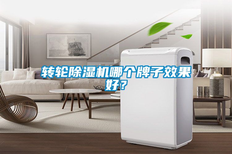 轉(zhuǎn)輪除濕機哪個牌子效果好？