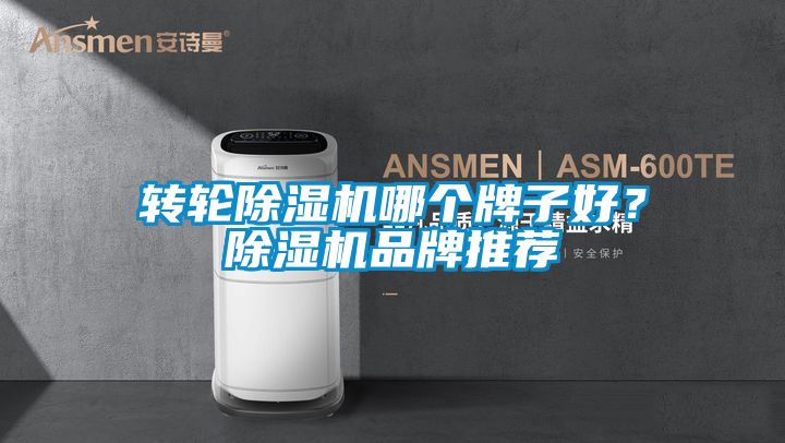 轉(zhuǎn)輪除濕機哪個牌子好？除濕機品牌推薦