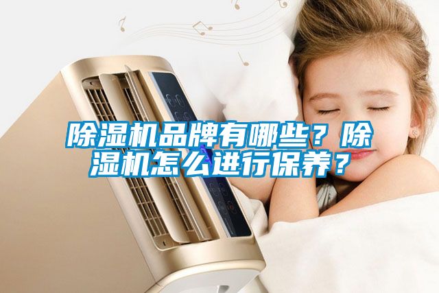 除濕機(jī)品牌有哪些？除濕機(jī)怎么進(jìn)行保養(yǎng)？