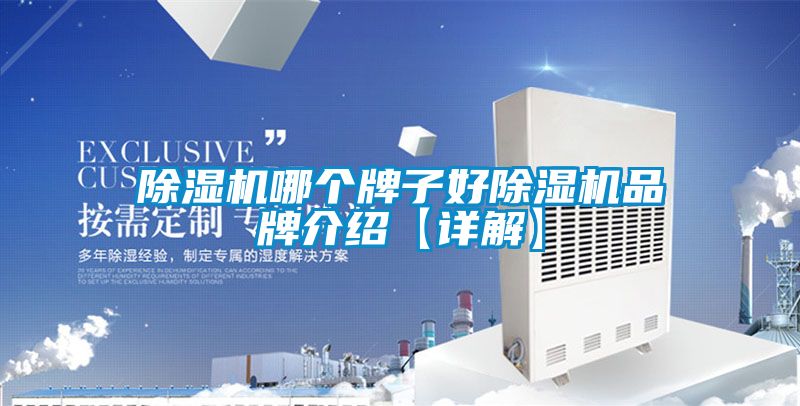 除濕機(jī)哪個(gè)牌子好除濕機(jī)品牌介紹【詳解】
