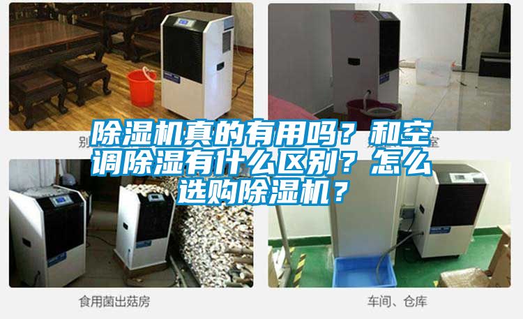 除濕機真的有用嗎？和空調除濕有什么區別？怎么選購除濕機？