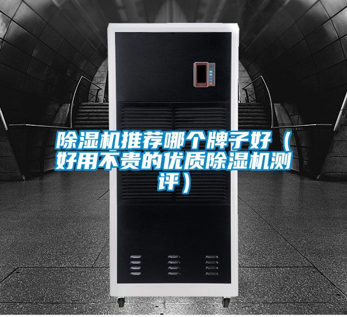 除濕機推薦哪個牌子好（好用不貴的優質除濕機測評）