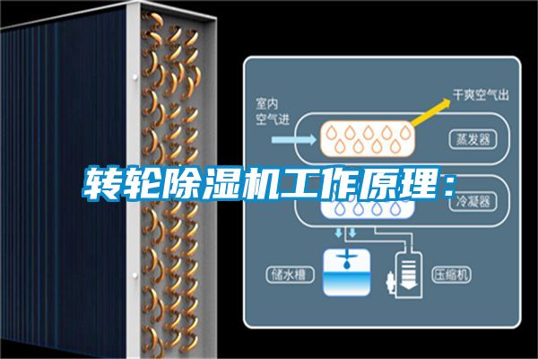 轉輪除濕機工作原理：