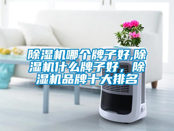 除濕機(jī)哪個(gè)牌子好,除濕機(jī)什么牌子好，除濕機(jī)品牌十大排名