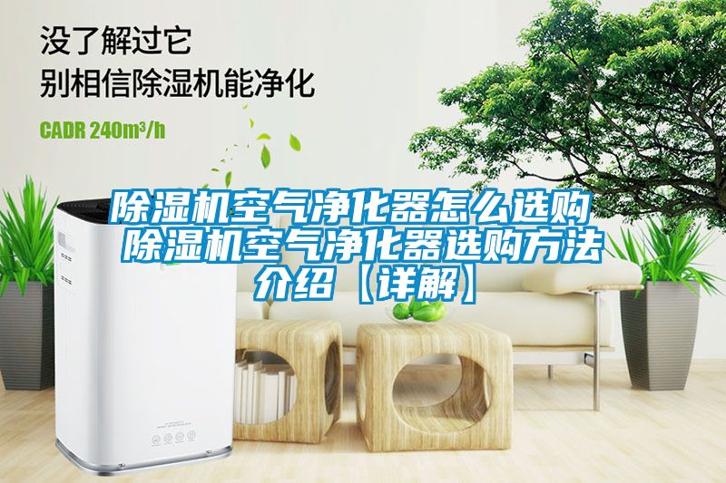 除濕機(jī)空氣凈化器怎么選購 除濕機(jī)空氣凈化器選購方法介紹【詳解】