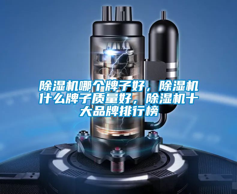 除濕機(jī)哪個(gè)牌子好，除濕機(jī)什么牌子質(zhì)量好，除濕機(jī)十大品牌排行榜