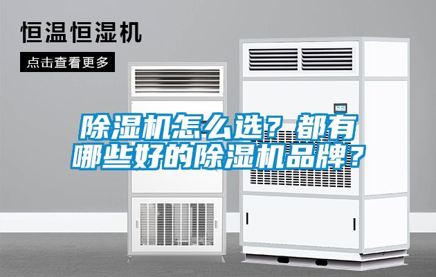 除濕機怎么選？都有哪些好的除濕機品牌？