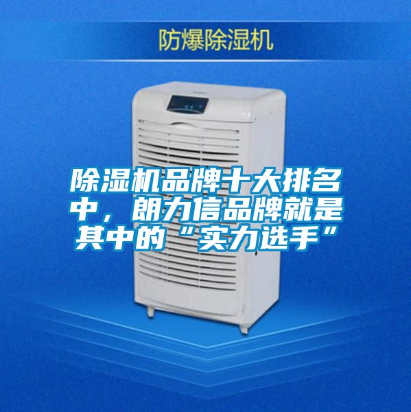 除濕機品牌十大排名中，朗力信品牌就是其中的“實力選手”
