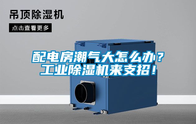 配電房潮氣大怎么辦？工業(yè)除濕機(jī)來(lái)支招！
