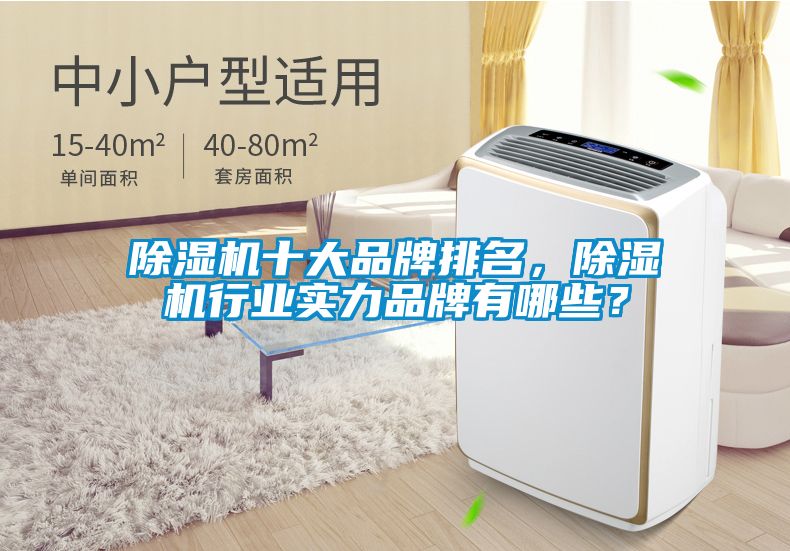 除濕機十大品牌排名，除濕機行業(yè)實力品牌有哪些？