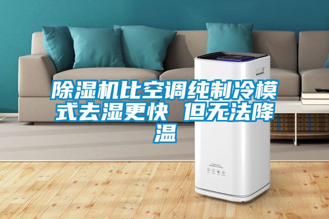除濕機(jī)比空調(diào)純制冷模式去濕更快 但無法降溫