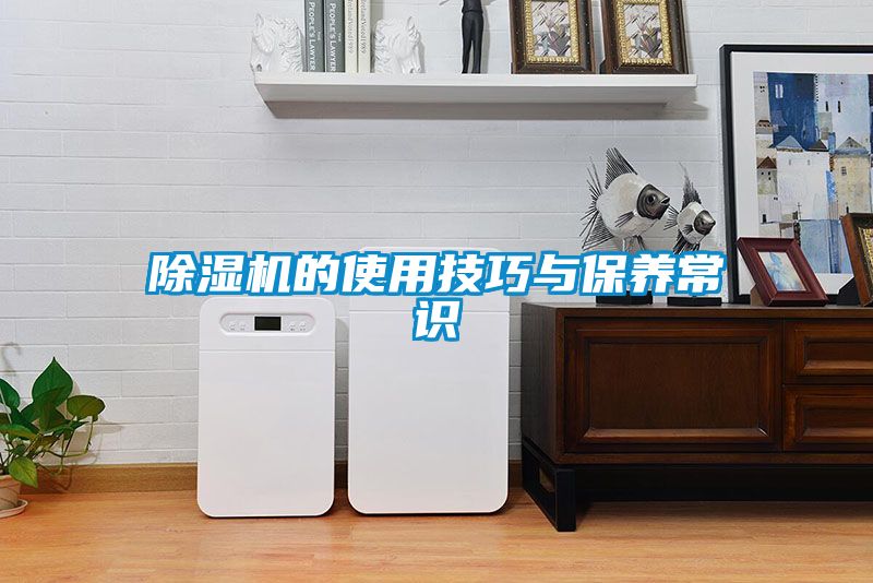 除濕機(jī)的使用技巧與保養(yǎng)常識